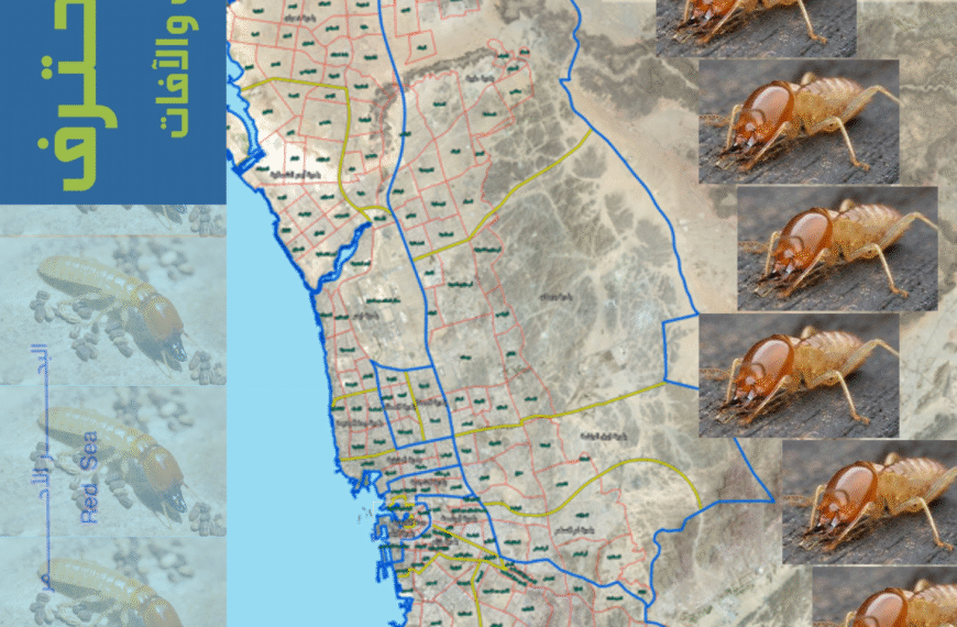 مكافحة النمل الأبيض في جدة